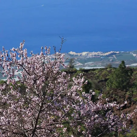 Casa Medano 34 Lägenhet *